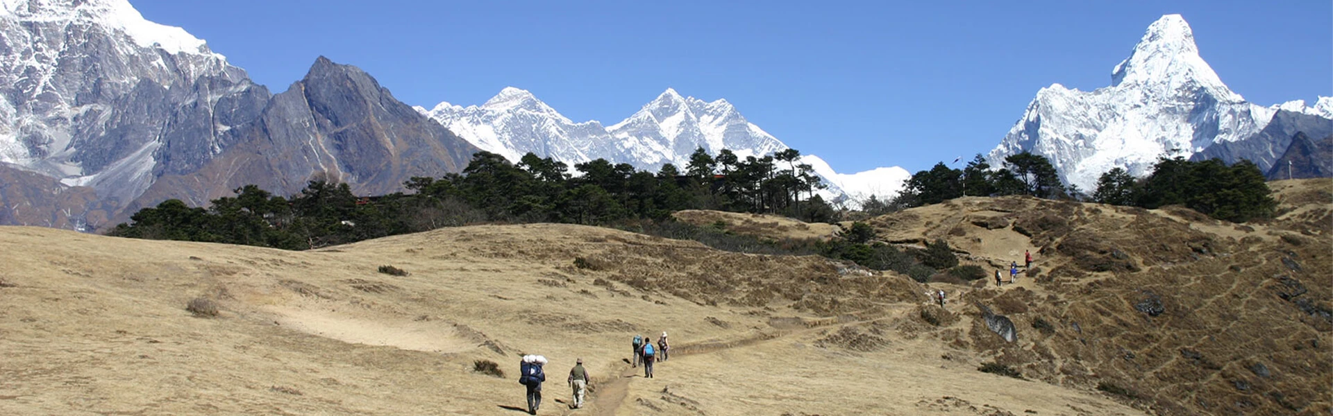 Ebc Trek