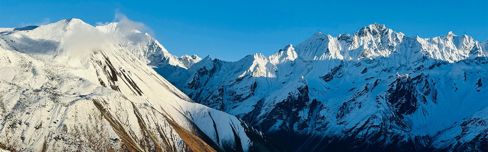 Beautiful langtang range in background