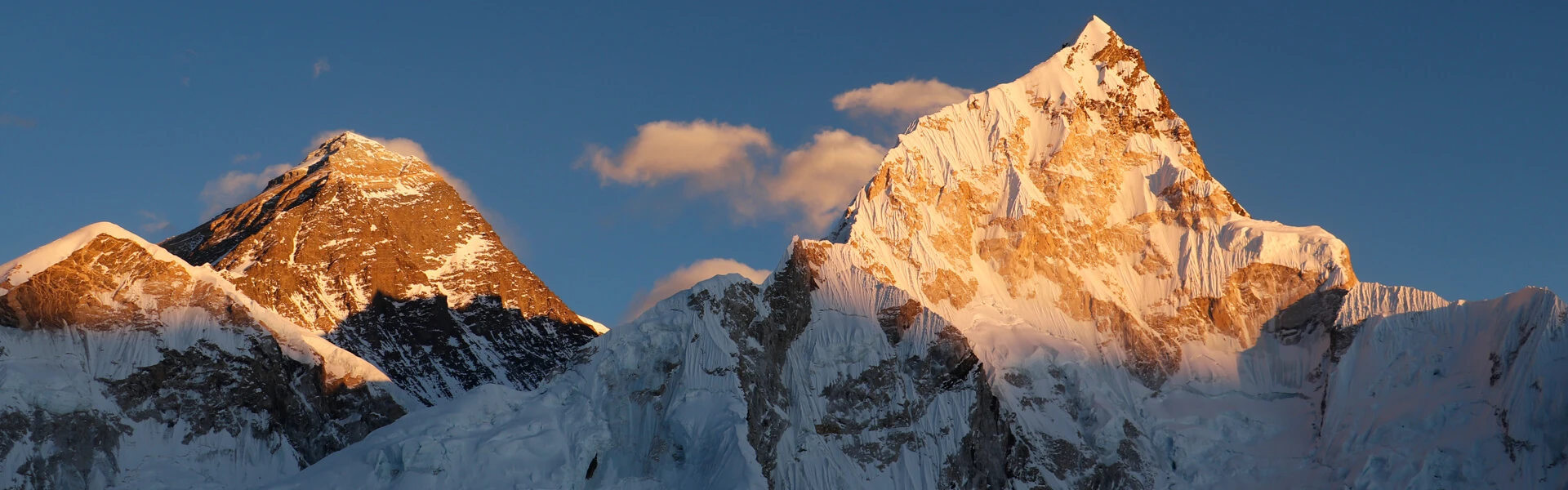 Discover the Difference