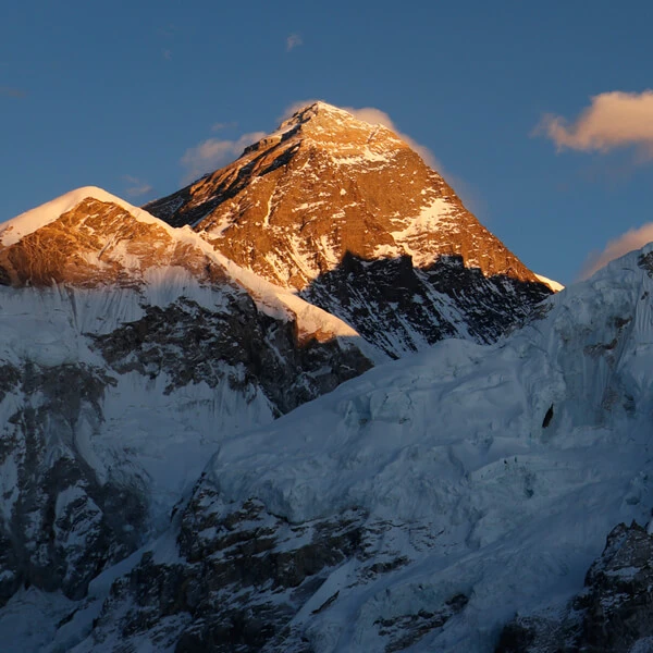 Discover the Difference