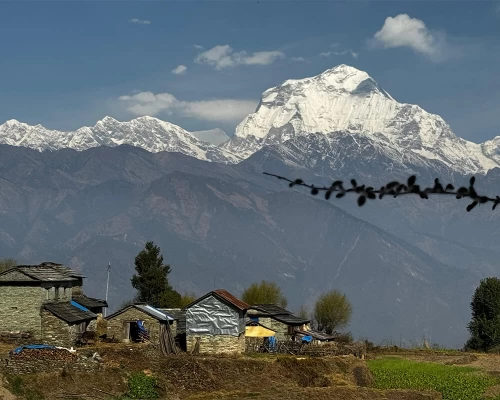 Beatiful View Of Dhaulagiri