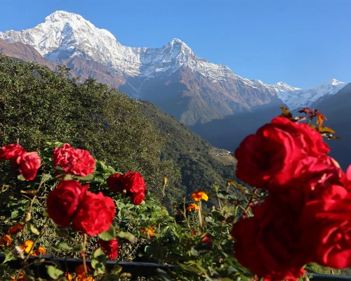 Beautiful Views From Ghandruk