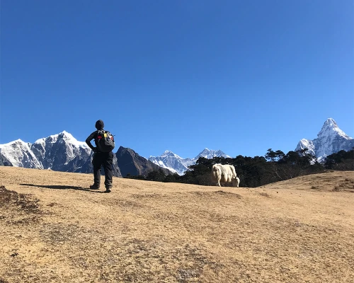 Day Hike Syangboche