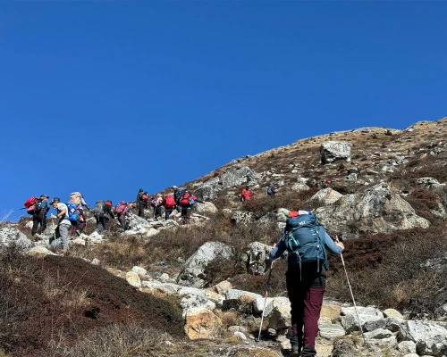 Hiking Time Feel With Nature