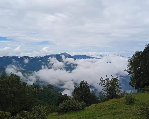 Kanchanjunga North Basecamp Trek 