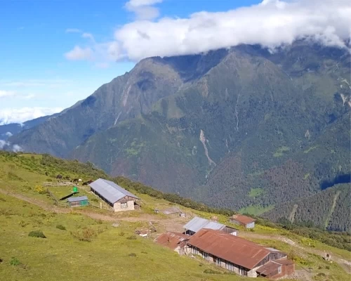 Kanchanjunga North Camp Trek 