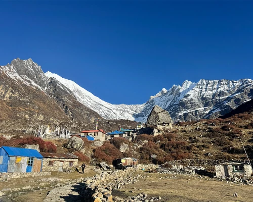 Kyanjin Gompa Langtang