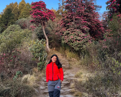 Spring Vibes At Ghorepani